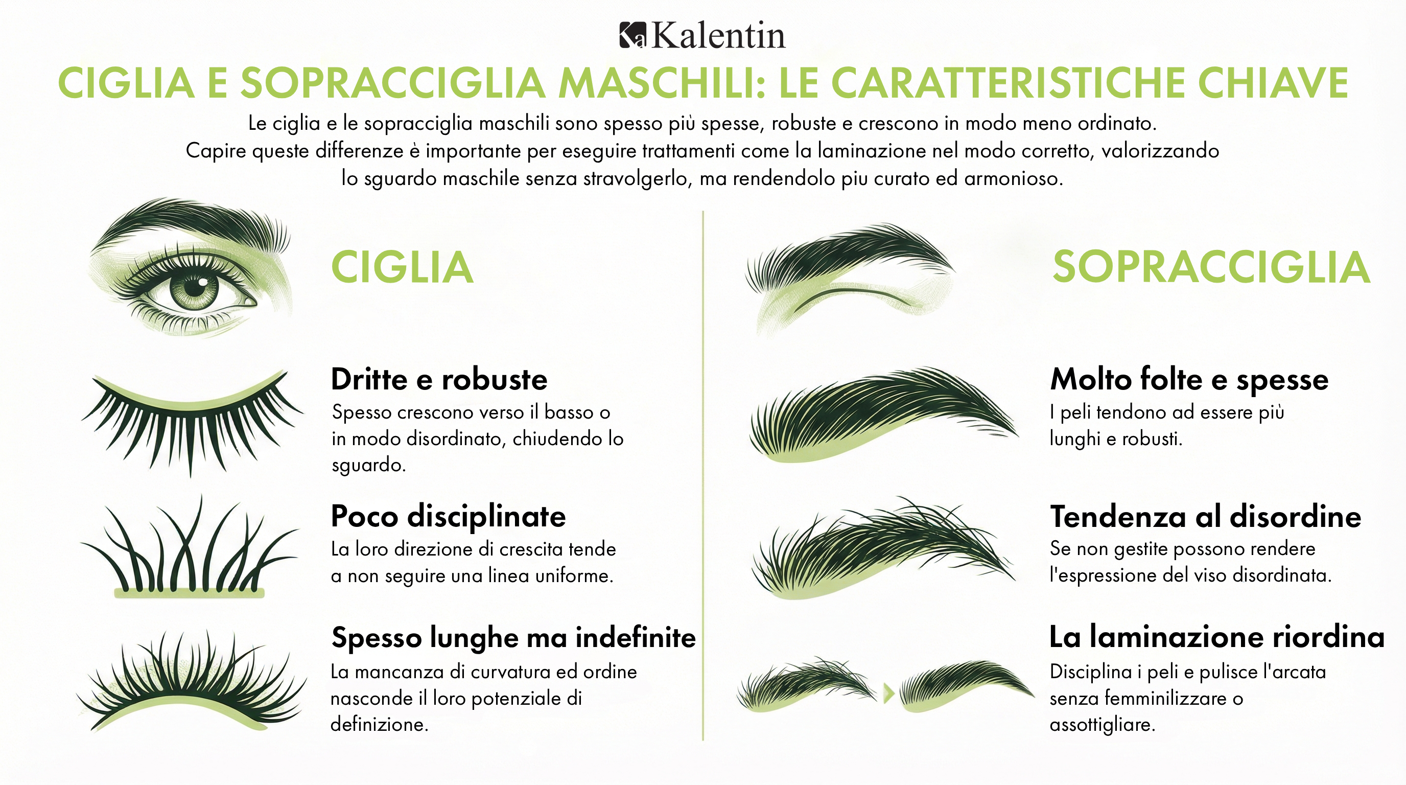 Ciglia maschili caratteristiche